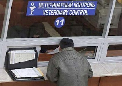 СлавТранс – таможенный брокер в Москве