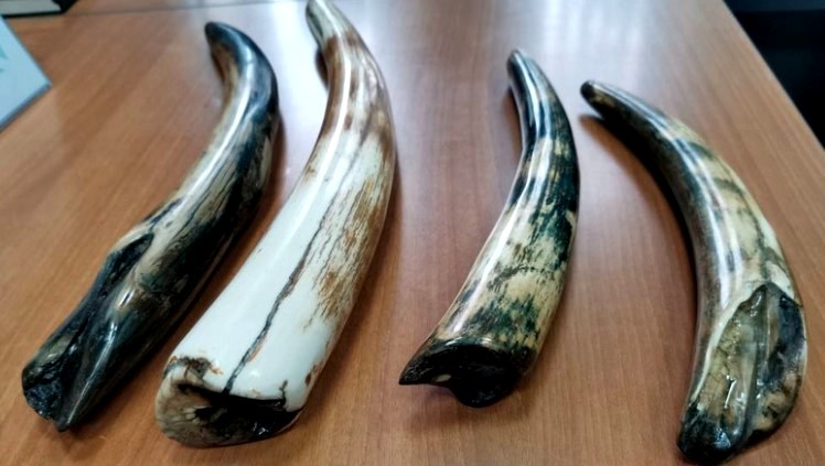 СлавТранс – таможенный брокер в Москве