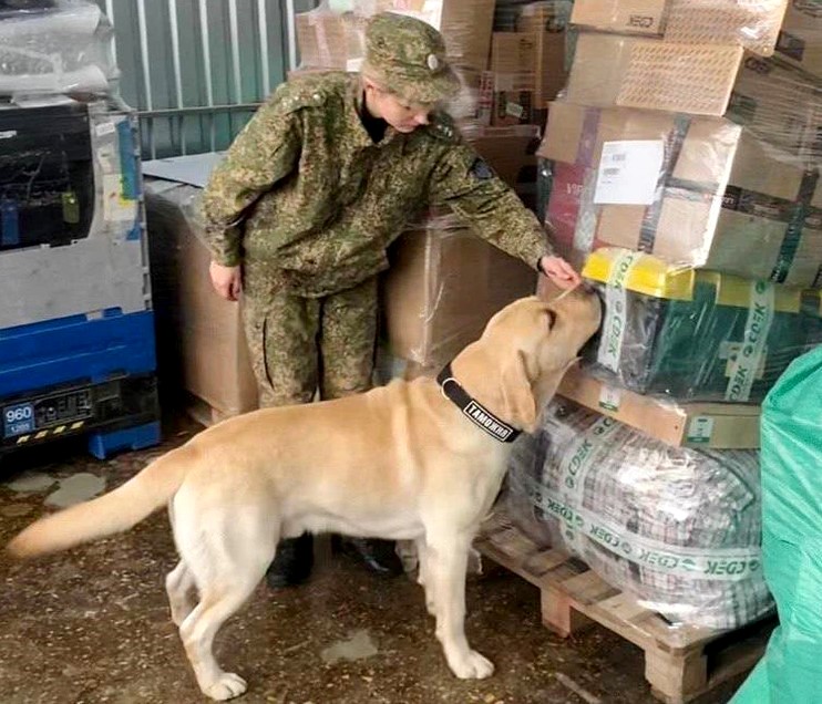 СлавТранс – таможенный брокер в Москве